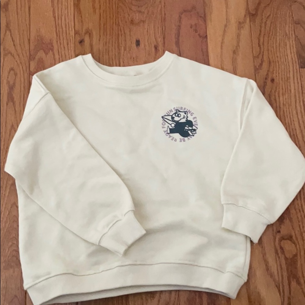 Zara Boys pullover sweatshirt